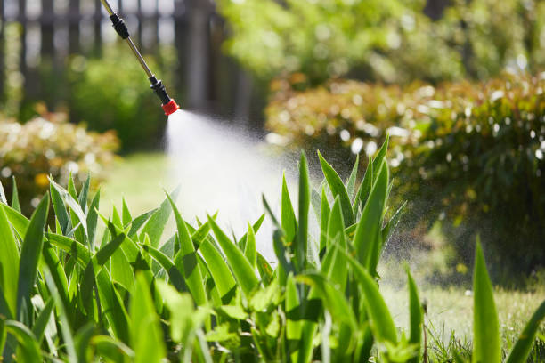 24/7 Emergency Termite Control experts in Carrollwood, FL