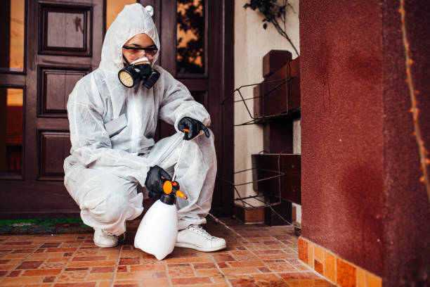 Reliable Termite Control contractor in Carrollwood, FL by Nex Pest Control