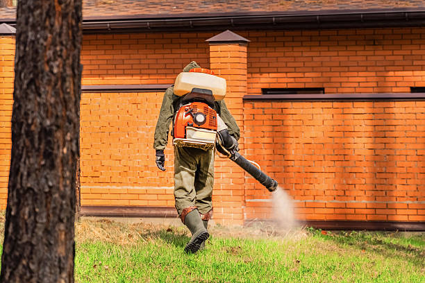 Trusted Rodent Control service in Carrollwood, FL - Nex Pest Control
